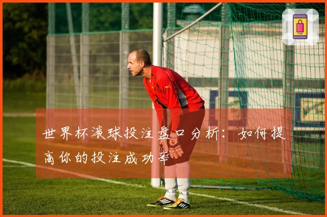 世界杯滚球投注盘口分析：如何提高你的投注成功率