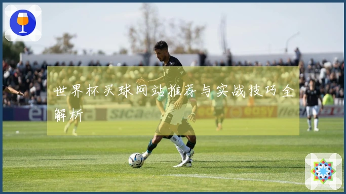 世界杯买球网站推荐与实战技巧全解析