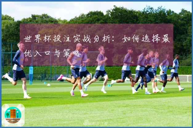 世界杯投注实战分析：如何选择最优入口与策略