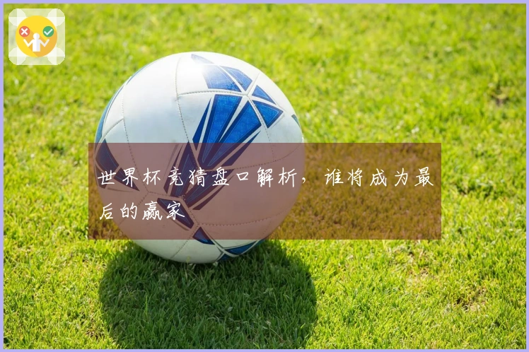 世界杯竞猜盘口解析，谁将成为最后的赢家