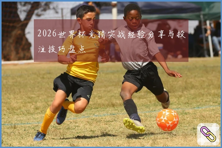 2026世界杯竞猜实战经验分享与投注技巧盘点