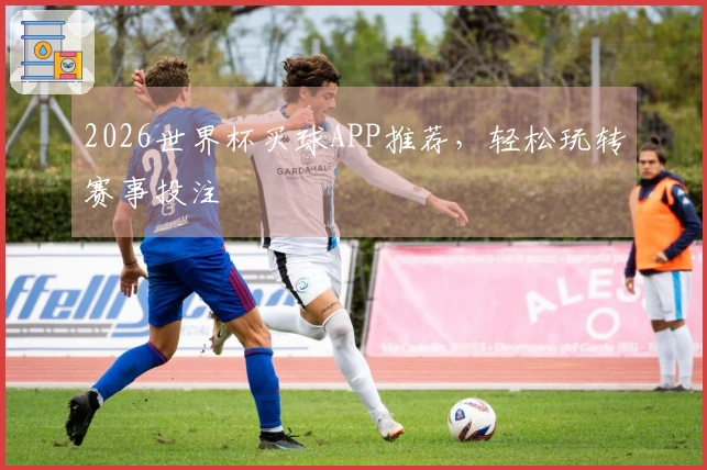 2026世界杯买球APP推荐，轻松玩转赛事投注