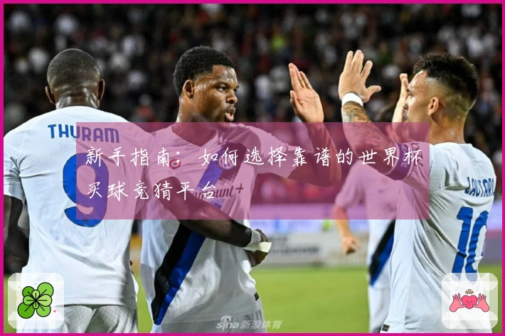新手指南：如何选择靠谱的世界杯买球竞猜平台