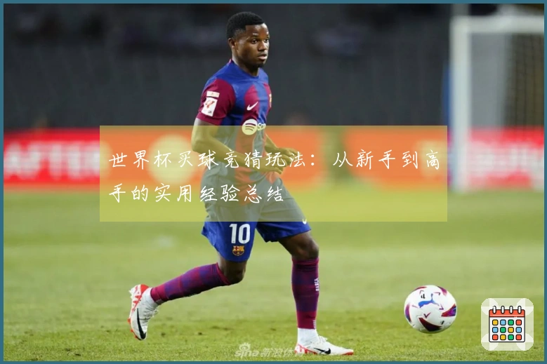 世界杯买球竞猜玩法：从新手到高手的实用经验总结