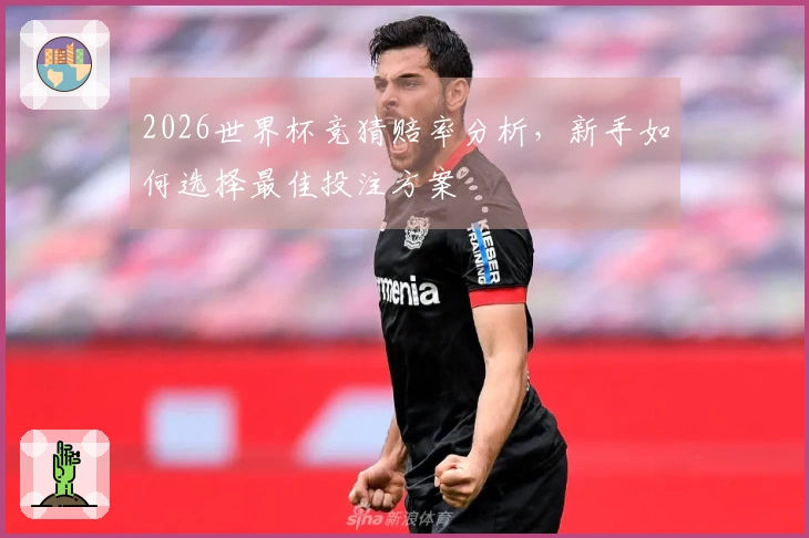 2026世界杯竞猜赔率分析，新手如何选择最佳投注方案