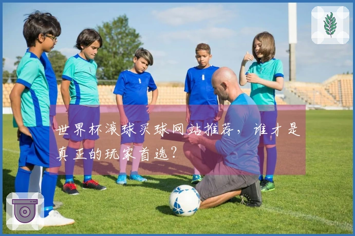 世界杯滚球买球网站推荐，谁才是真正的玩家首选？