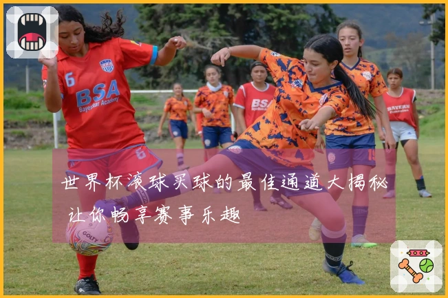 世界杯滚球买球的最佳通道大揭秘 让你畅享赛事乐趣
