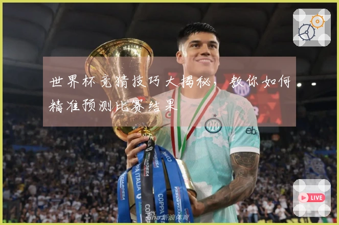 世界杯竞猜技巧大揭秘，教你如何精准预测比赛结果